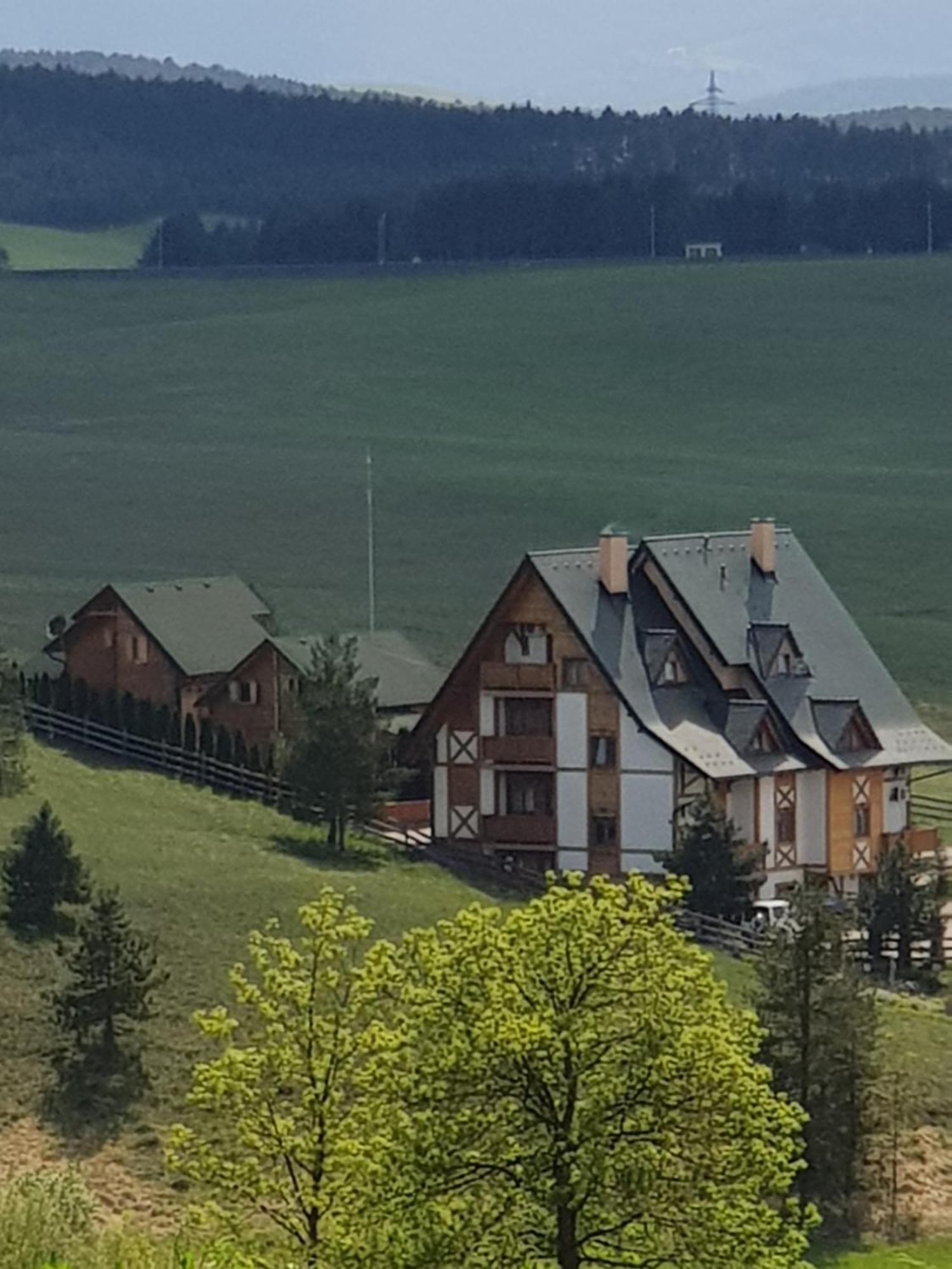 Brvnare Bor Villa Zlatibor Luaran gambar